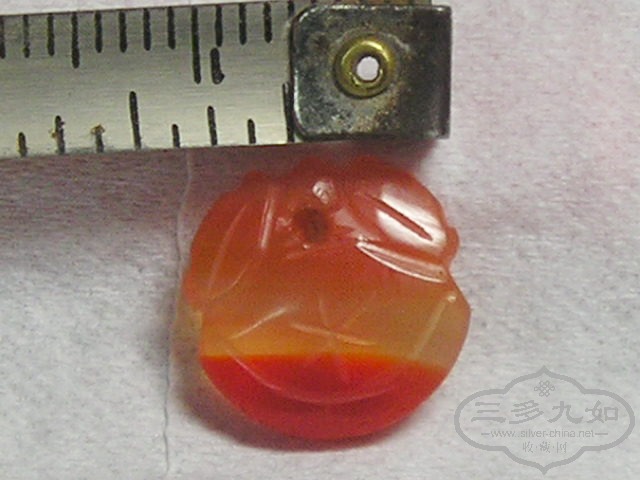 P1010033.jpg