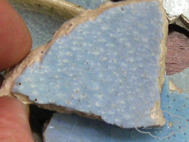 P1010008.jpg
