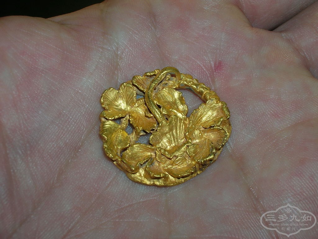 DSCN8037.JPG