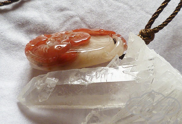 P1020172.JPG