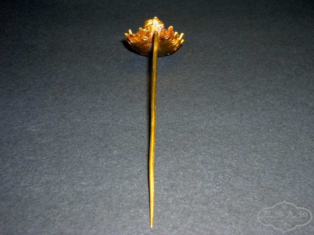 DSCN6697.JPG
