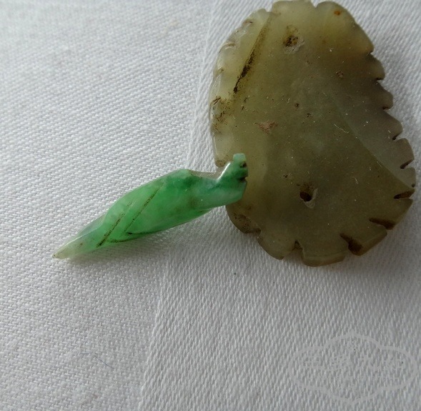 DSC08123.JPG