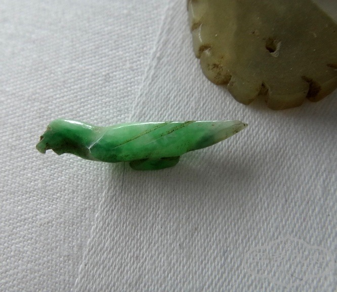 DSC08125.JPG