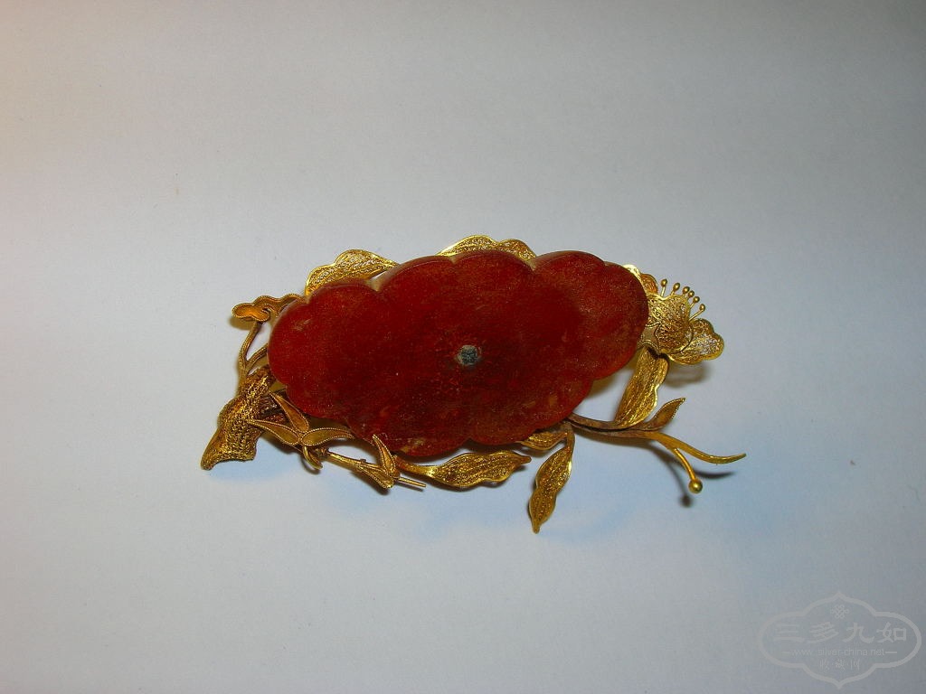 DSCN8227.JPG