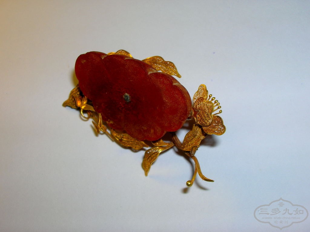 DSCN8225.JPG