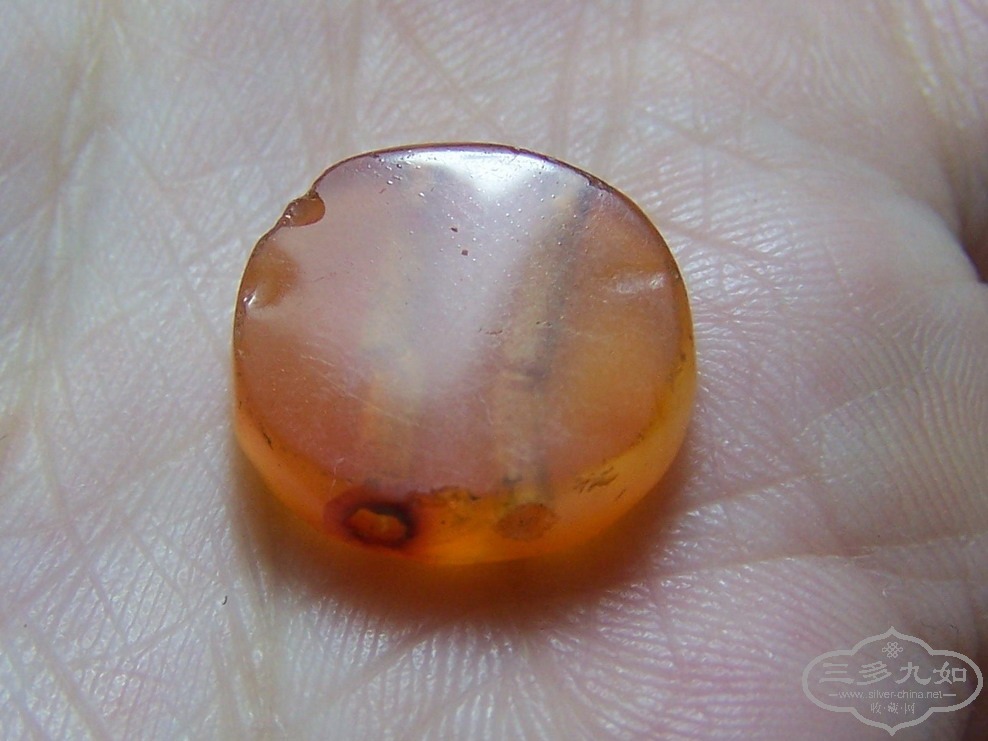 100_9423.jpg