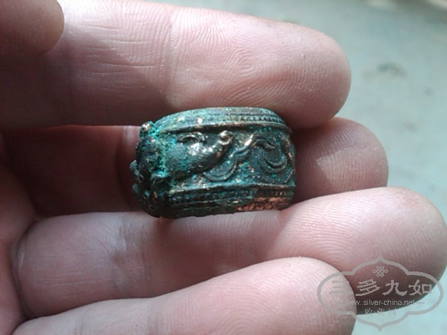 IMG02504-20130430-1525.jpg