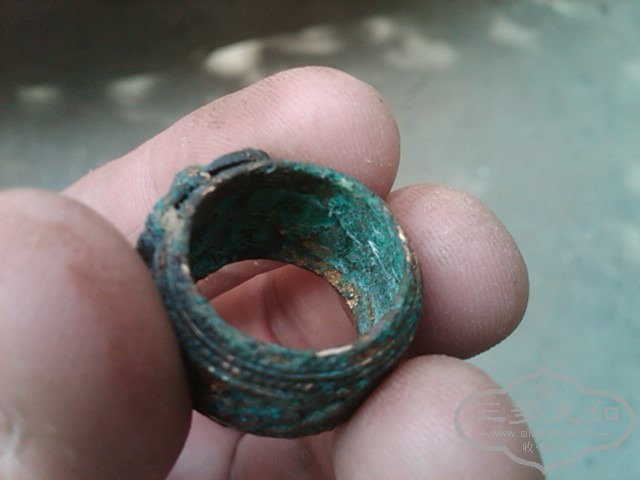 IMG02511-20130430-1527.jpg