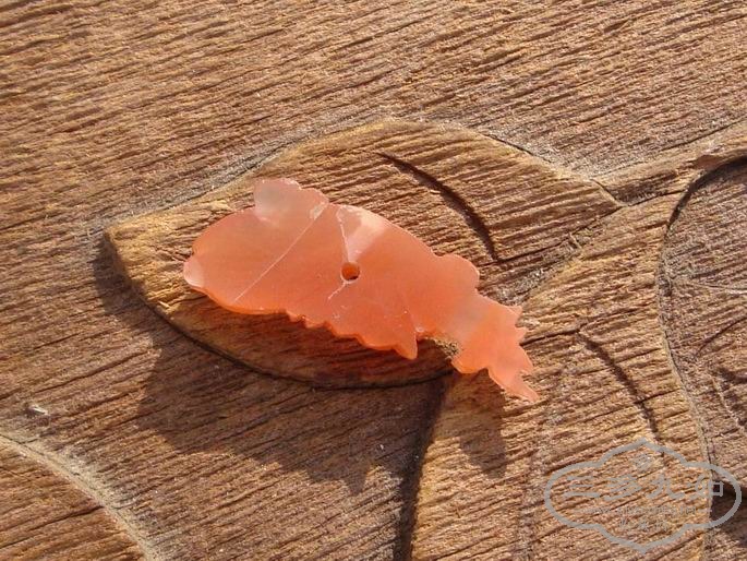 ϺС140050135 03.jpg