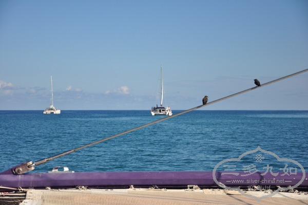DSC_0848.jpg