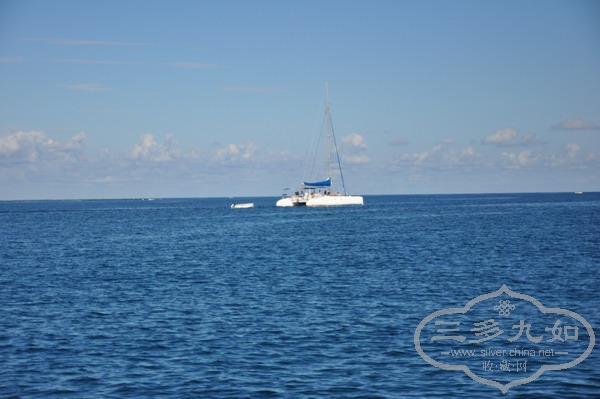 DSC_0853.jpg