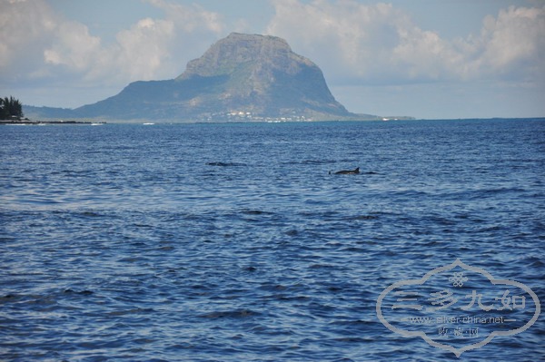 DSC_0918.jpg