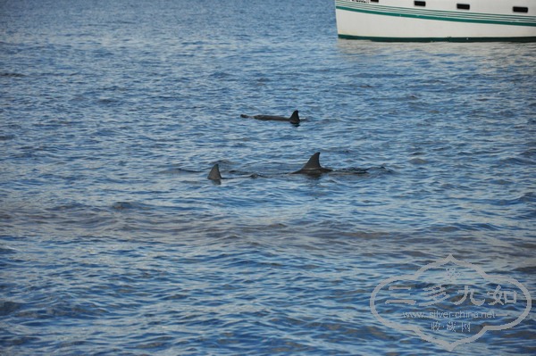 DSC_0928.jpg