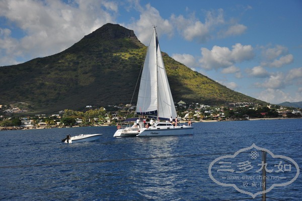 DSC_0995.jpg
