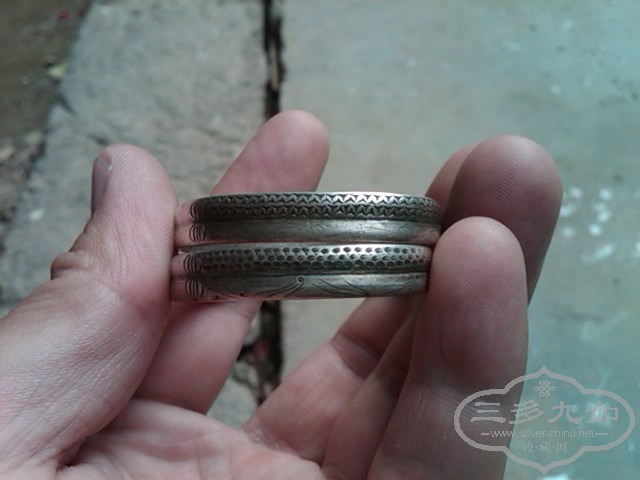 IMG02803-20130608-1747.jpg