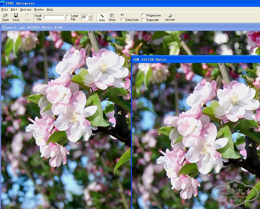 Flower4.jpg