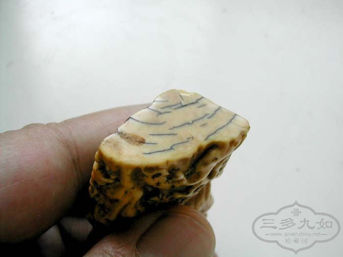 DSCN6112.JPG