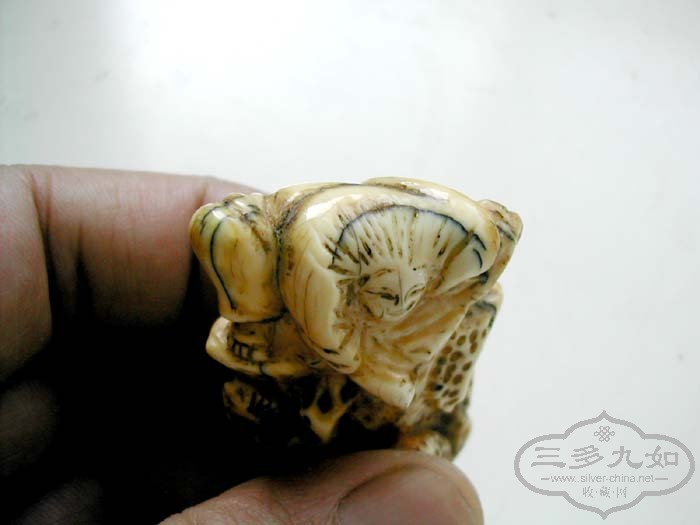 DSCN6117.JPG