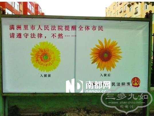 菊花残.jpg