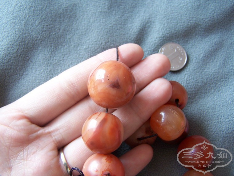 100_9703.JPG