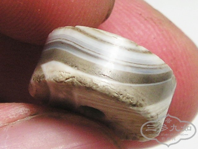 P1010039.jpg