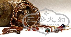 IMG_3016.JPG