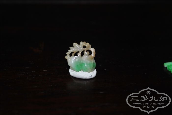 DSC_8402.jpg
