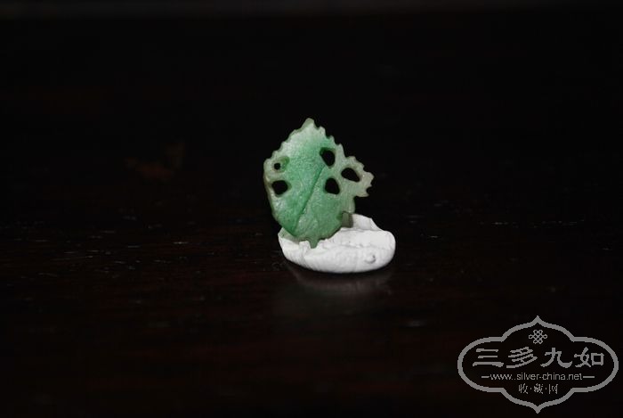 DSC_8421.jpg
