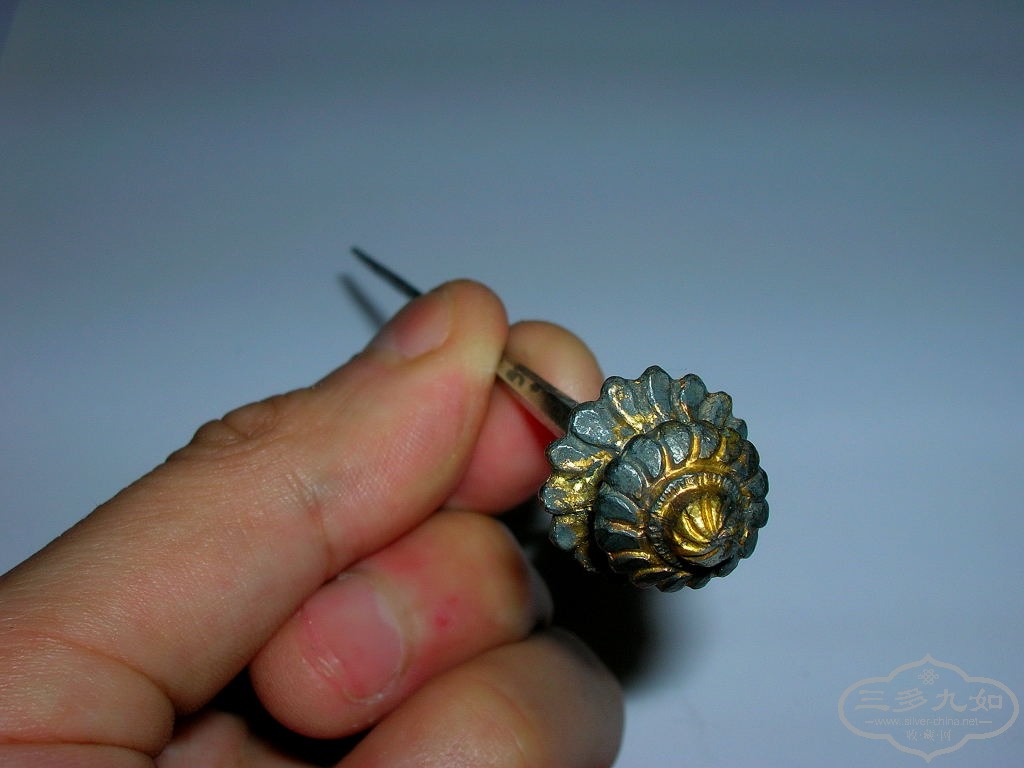 DSCN9148.JPG