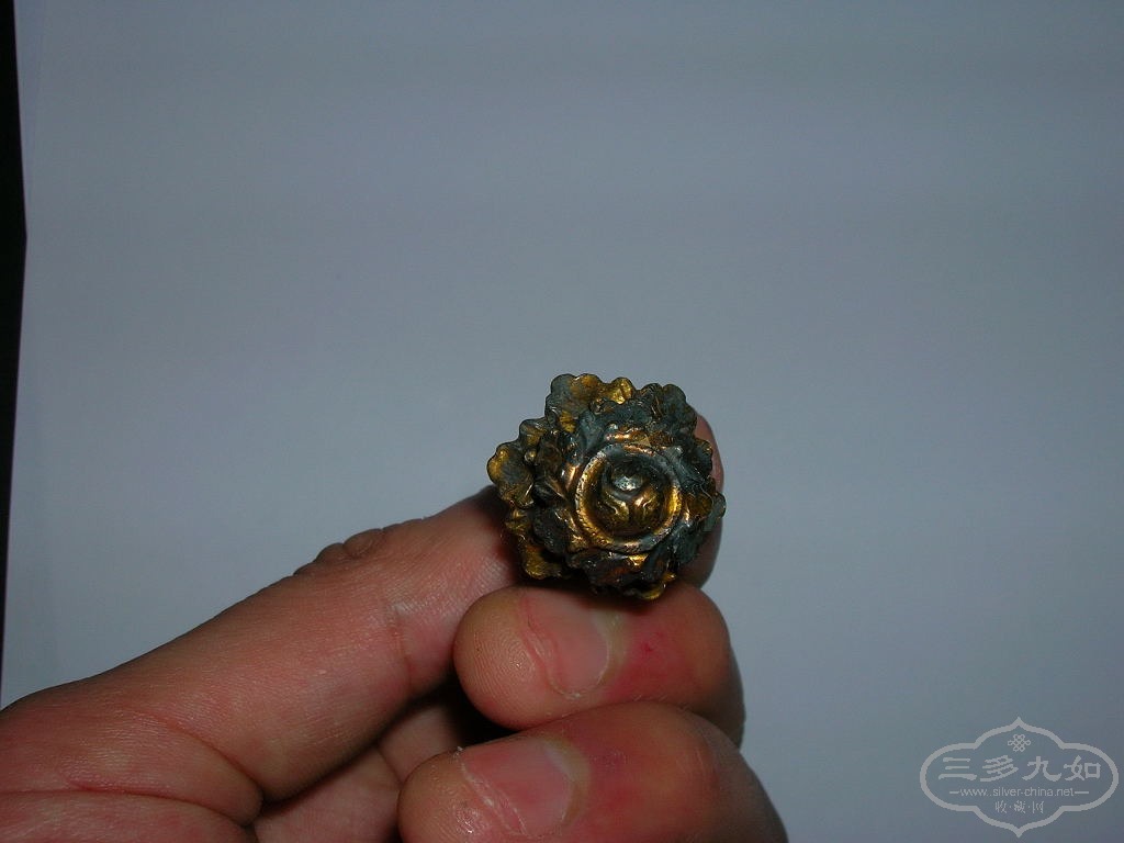 DSCN9157.JPG