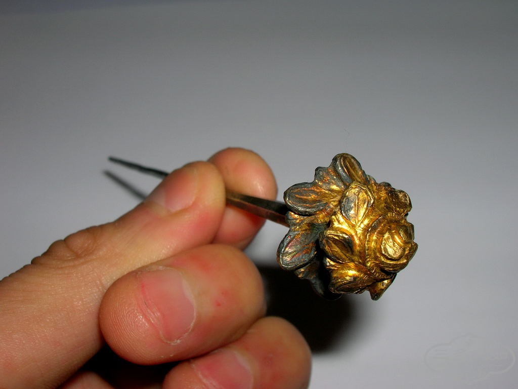 DSCN9135.JPG