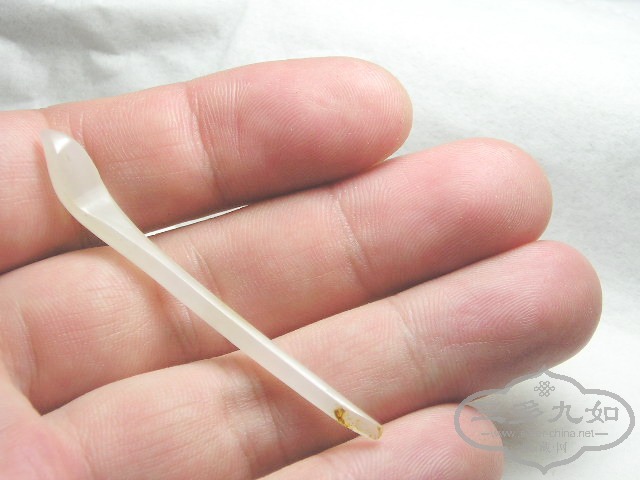 P1010019.jpg