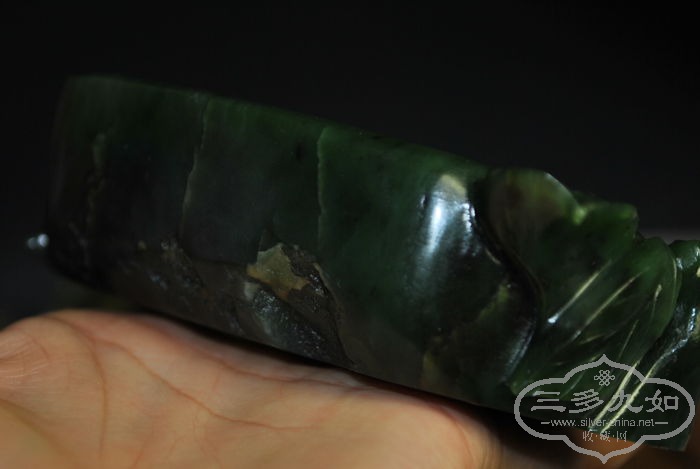 DSC_0192.jpg
