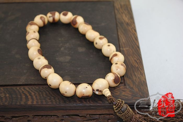 nEO_IMG_IMG_4841.jpg
