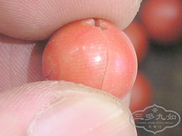 P1010006.jpg