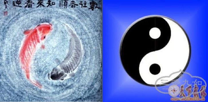 yin and yang.jpg