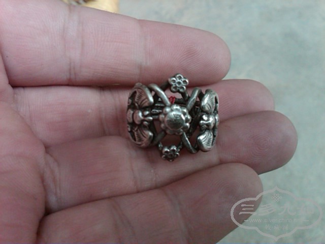 IMG03411-20131013-2221.jpg