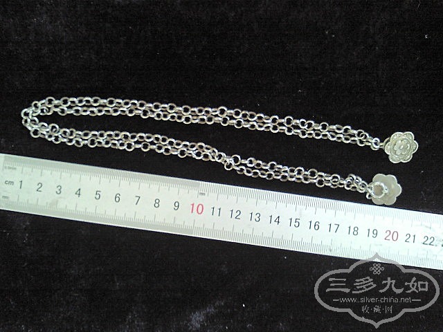 SNC04890_����.jpg