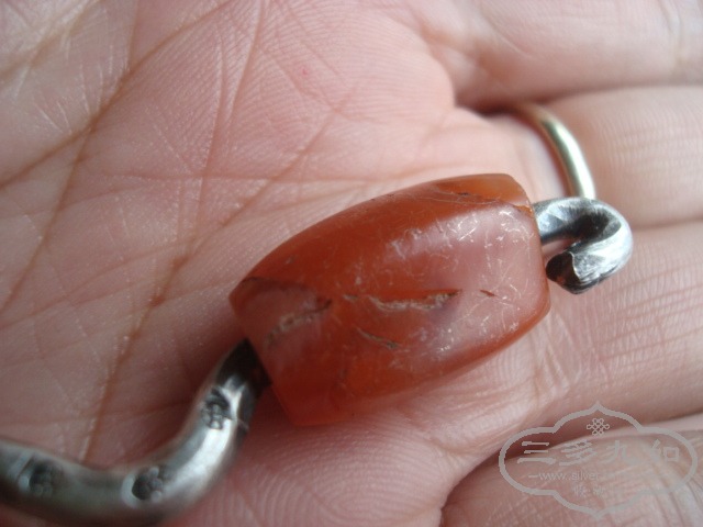 DSC08134.JPG