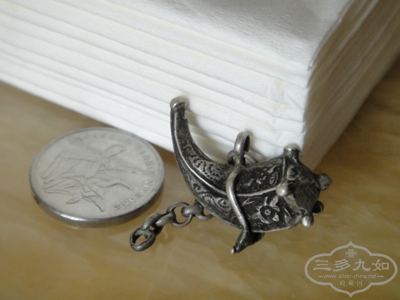 DSC02350_conew1.JPG
