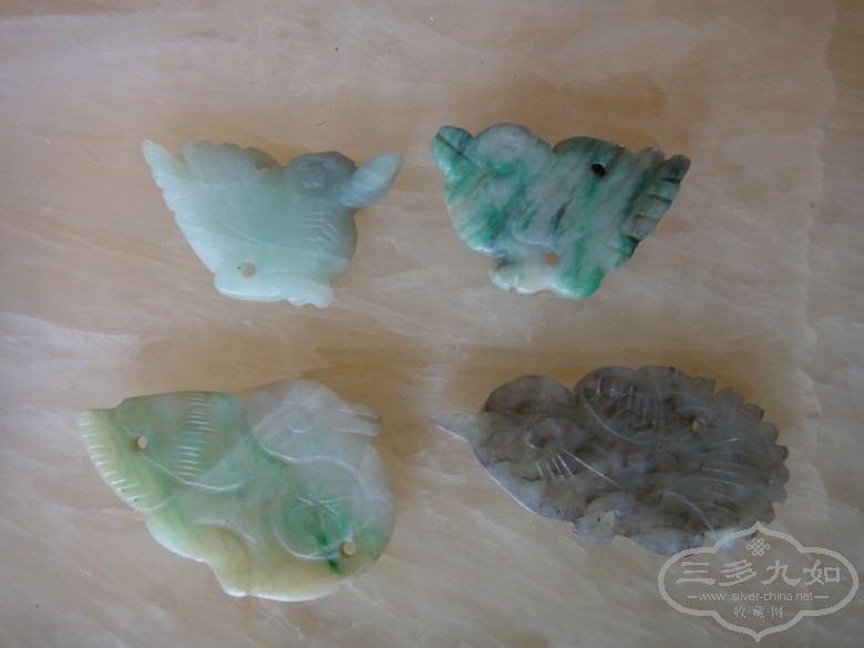 DSC02378_conew1.JPG