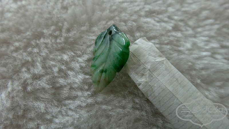 DSC08298.JPG