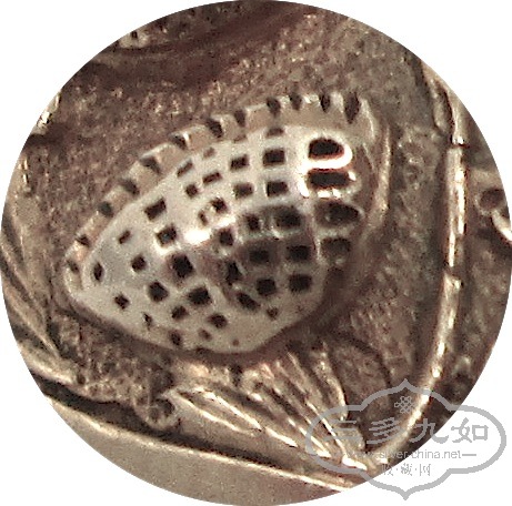 clam.jpg