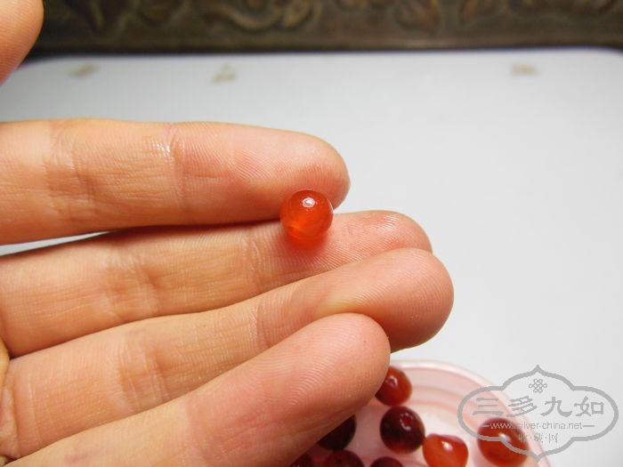 照片 867.jpg