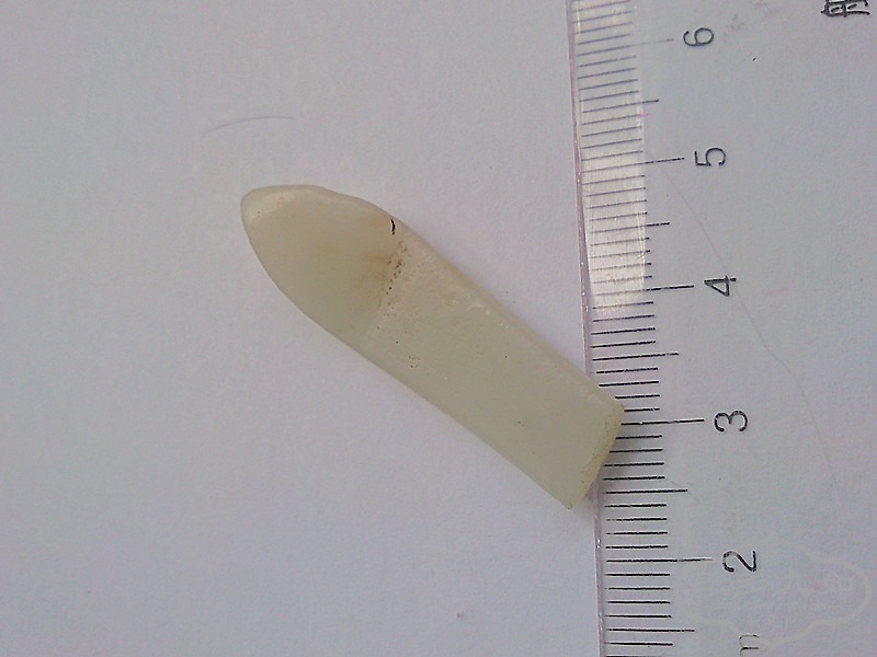 SNC05423_.jpg