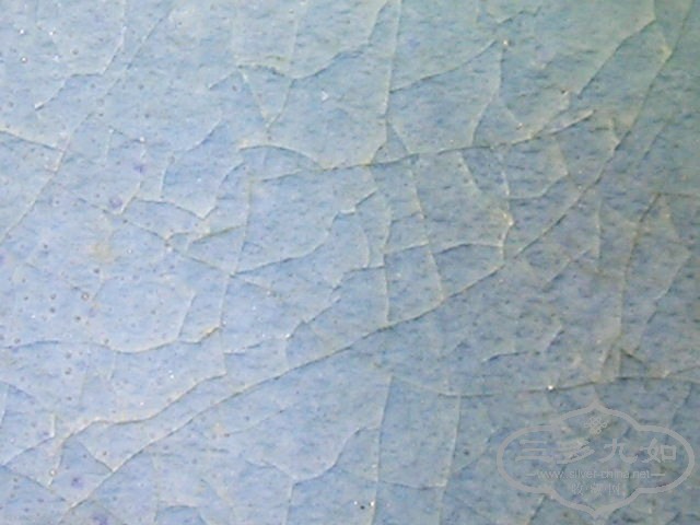 P1010011.jpg
