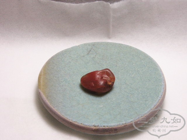 P1010013.jpg