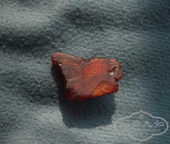 DSCN8946.JPG