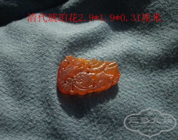 DSCN8787.JPG