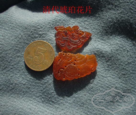 DSCN8781.JPG